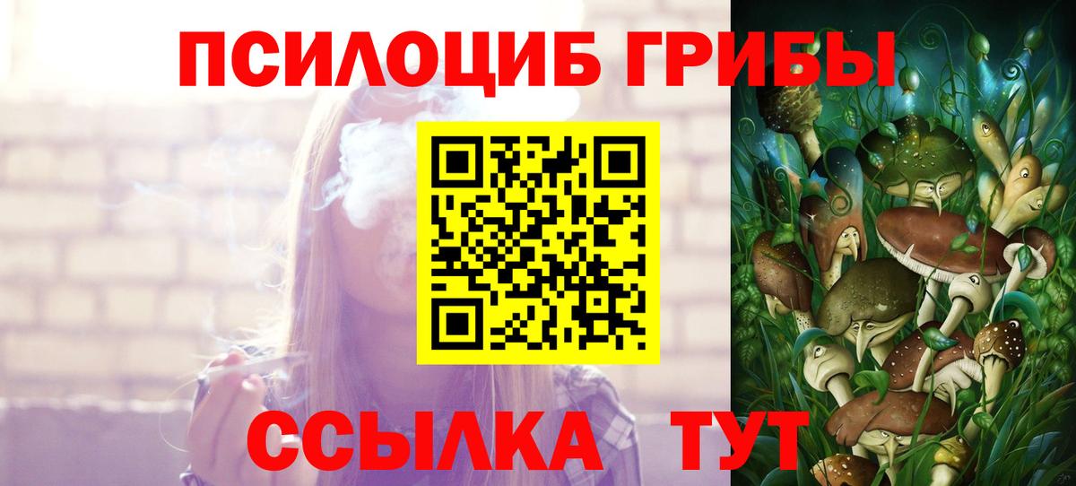Галлюциногенные грибы прущие грибы  Псилоцибиновые грибы Psilocybe  Великие Луки  Вход с VPN 